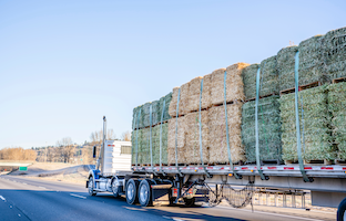 Truck hauling hay
